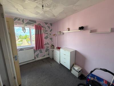 Picture 13